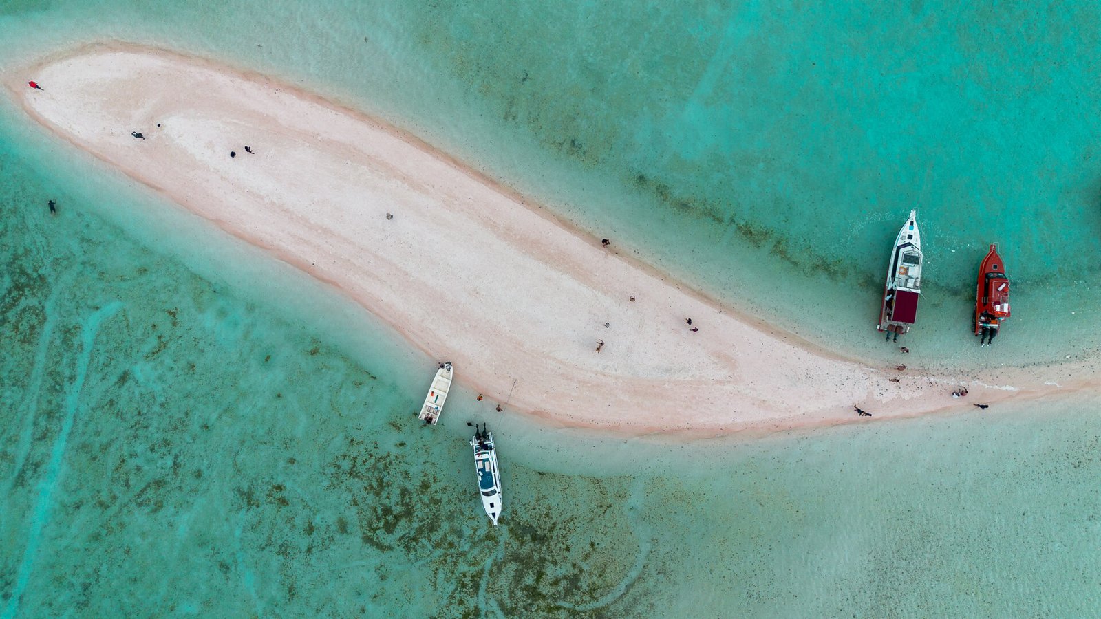 luxury komodo tour experience